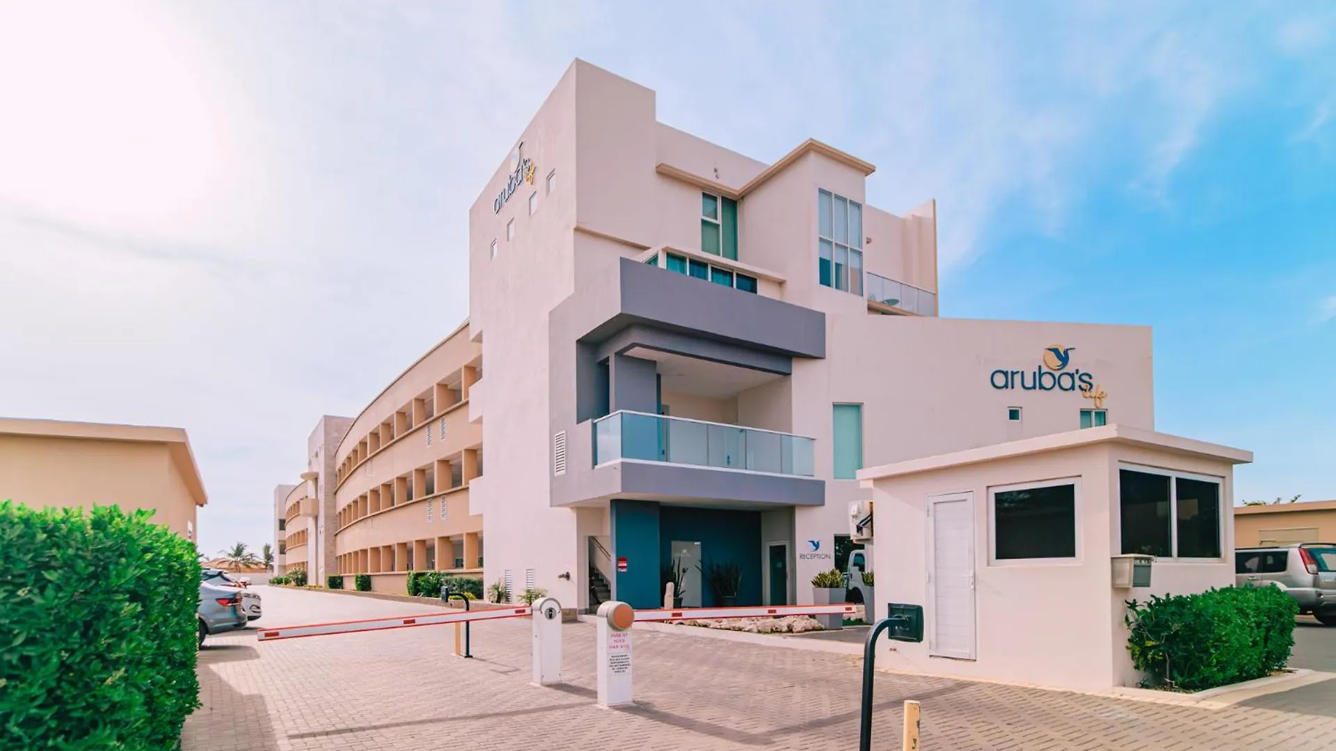 Arubas Life 102 Apartment Noord