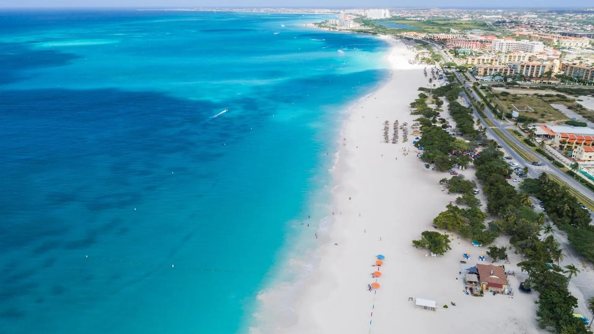 Arubas Life 102 Lejlighed Noord